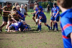 clearout-2