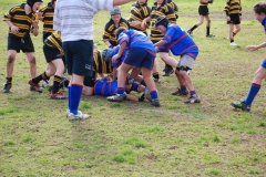 u12-longlace-3
