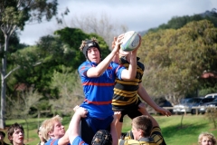 u16-1