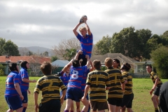 u16-dale-lineout-3