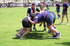 sevens-frocs-1