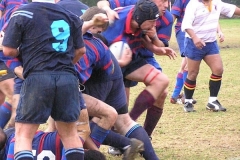 1_2nd-grade-tonybird-markpickard-hititup