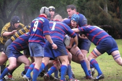 1st-XV-Maul