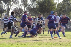 1st-XV-Tackle-by-Peter-Cross-with-Ben-Hamer-and-Jon-Collins-supporting-Charlie-Sheppeard-and-Rob-Porteous-right-of-shot
