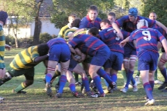 1st-XV-whole-pack-maul
