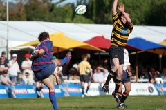 Andy-Farquharson-kicks