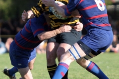 Burmester-tackles-Brown