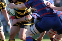 Burmester-tackles-whatsisname