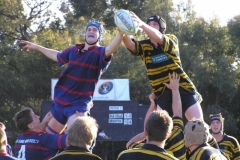 Div-1-Semi-Line-out