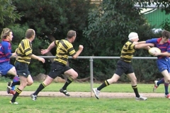 Div-4-Semi