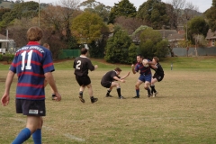 Picture-033
